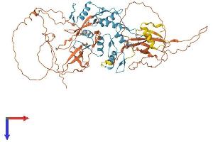 AlphaFold protein structure predicition of Human Recombinant ZNF143 Protein, UniprotID P52747