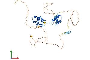 AlphaFold protein structure predicition of Mouse Recombinant Pax2 Protein, UniprotID P32114