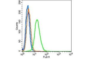 Human A549 probed with TTF1 Polyclonal Antibody, Unconjugated  (green) at 1:100 for 30 minutes followed by a PE conjugated secondary antibody compared to unstained cells (blue), secondary only (light blue), and isotype control (orange).