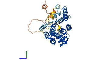 AlphaFold protein structure predicition of Mouse Recombinant Pdss2 Protein, UniprotID Q33DR3