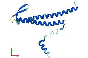 AlphaFold protein structure predicition of Mouse Recombinant Pdrg1 Protein, UniprotID P59048