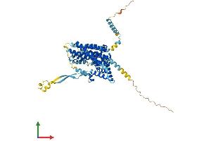 AlphaFold protein structure predicition of Mouse Recombinant Slc1a3 Protein, UniprotID P56564