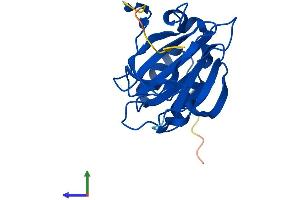 AlphaFold protein structure predicition of Human Recombinant CDO1 Protein, UniprotID Q16878