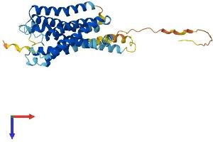AlphaFold protein structure predicition of Human Recombinant GPR157 Protein, UniprotID Q5UAW9