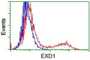 HEK293T cells transfected with either RC206223 overexpress plasmid (Red) or empty vector control plasmid (Blue) were immunostained by anti-EXD1 antibody (ABIN2454018), and then analyzed by flow cytometry. (EXD1 anticorps)