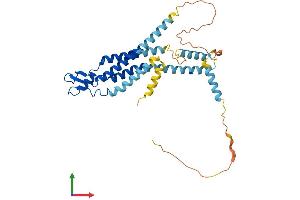 AlphaFold protein structure predicition of Human Recombinant GJA4 Protein, UniprotID P35212