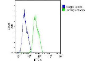 Overlay histogram showing MCF-7 cells stained with (ABIN652224 and ABIN2840939) (green line).