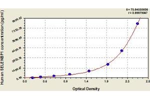 Typical Standard Curve (SELENBP1 Kit ELISA)