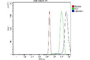 Flow Cytometry analysis of C6 cells using anti-hnRNP K/HNRNPK antibody (ABIN7601650). (HNRNPK anticorps  (AA 40-463))