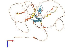 AlphaFold protein structure predicition of Mouse Recombinant Klf4 Protein, UniprotID Q60793