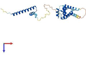 AlphaFold protein structure predicition of Mouse Recombinant Ccdc103 Protein, UniprotID Q9D9P2