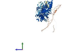 AlphaFold protein structure predicition of Mouse Recombinant Rhobtb2 Protein, UniprotID Q91V93