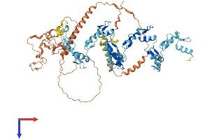AlphaFold protein structure predicition of Human Recombinant ZNF544 Protein, UniprotID Q6NX49
