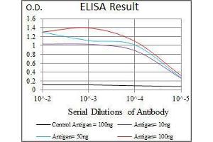 Black line: Control Antigen (100 ng), Purple line: Antigen(10 ng), Blue line: Antigen (50 ng), Red line: Antigen (100 ng),