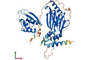 AlphaFold protein structure predicition of Mouse Recombinant Irf3 Protein, UniprotID P70671