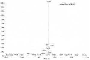 Mass Spectrometry (MS) image for Histone H3 (H3) (H3K4me3) protein (ABIN2669566)