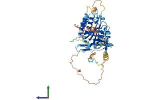 AlphaFold protein structure predicition of Mouse Recombinant Elp4 Protein, UniprotID Q9ER73