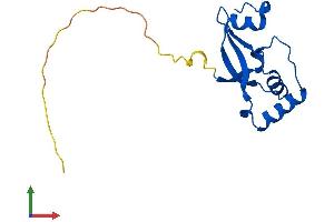 AlphaFold protein structure predicition of Mouse Recombinant Srxn1 Protein, UniprotID Q9D975