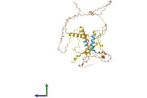 AlphaFold protein structure predicition of Human Recombinant SPATA32 Protein, UniprotID Q96LK8
