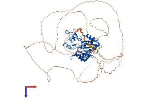 AlphaFold protein structure predicition of Human Recombinant ITPKC Protein, UniprotID Q96DU7