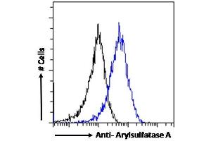 anti-Arylsulfatase A (ARSA) (Internal Region) antibody