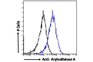 ABIN238536 Flow cytometric analysis of paraformaldehyde fixed HeLa cells (blue line), permeabilized with 0. (Arylsulfatase A anticorps  (Internal Region))