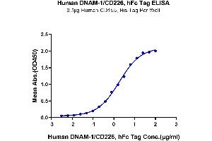 Immobilized Human CD155, His Tag at 5 μg/mL (100 μL/Well) on the plate.