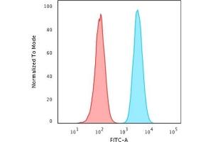 Flow Cytometric Analysis of PFA-fixed HeLa cells labeling HSP60 with HSP60 Mouse Monoclonal Antibody (CPTC-HSPD1-1) followed by Goat anti-Mouse IgG-CF488 (Blue) Isotype Control (Red) (HSPD1 anticorps)