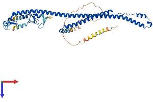 AlphaFold protein structure predicition of Human Recombinant TRIM31 Protein, UniprotID Q9BZY9