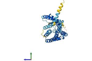 AlphaFold protein structure predicition of Human Recombinant OR2C3 Protein, UniprotID Q8N628