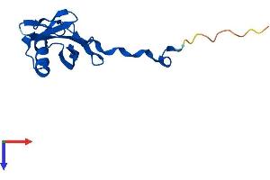AlphaFold protein structure predicition of Human Recombinant ELOB Protein, UniprotID Q15370
