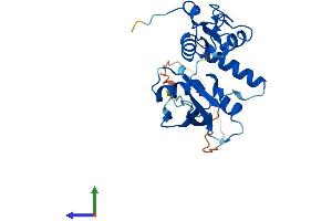AlphaFold protein structure predicition of Human Recombinant PCGF3 Protein, UniprotID Q3KNV8