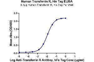 Immobilized Human Transferrin R, His Tag at 1 μg/mL (100 μL/well) on the plate.