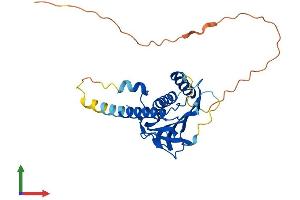 AlphaFold protein structure predicition of Mouse Recombinant Mad2l1bp Protein, UniprotID Q9DCX1