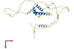 AlphaFold protein structure predicition of Mouse Recombinant Nkx2-6 Protein, UniprotID P43688