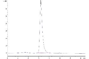 The purity of Human CD7 is greater than 95 % as determined by SEC-HPLC.