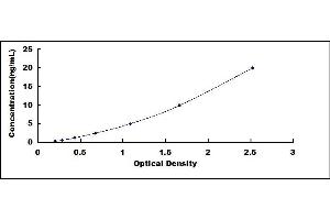 Complement C3 Convertase ELISA Kit