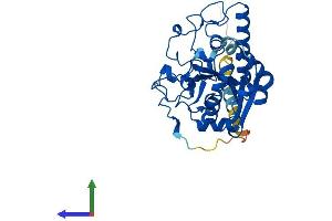 AlphaFold protein structure predicition of Mouse Recombinant Abo Protein, UniprotID P38649