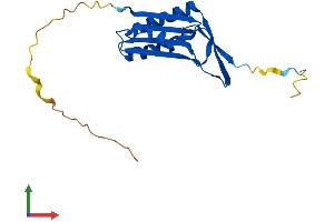 AlphaFold protein structure predicition of Human Recombinant MOCS2 Protein, UniprotID O96007