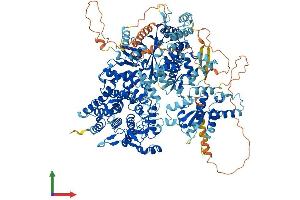 AlphaFold protein structure predicition of Mouse Recombinant Phka1 Protein, UniprotID P18826