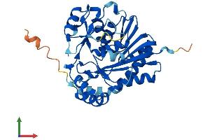 AlphaFold protein structure predicition of Human Recombinant NSUN3 Protein, UniprotID Q9H649