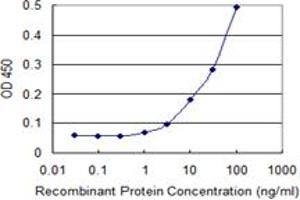 Detection limit for recombinant GST tagged CLPP is 1 ng/ml as a capture antibody.