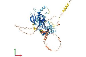 AlphaFold protein structure predicition of Mouse Recombinant Irf7 Protein, UniprotID P70434