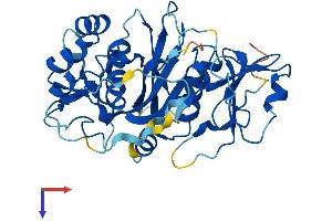 AlphaFold protein structure predicition of Mouse Recombinant Nudt19 Protein, UniprotID P11930