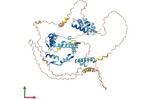 AlphaFold protein structure predicition of Human Recombinant ZNF274 Protein, UniprotID Q96GC6