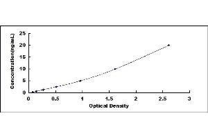 Typical standard curve (COX2 Kit ELISA)