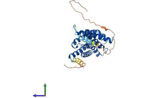 AlphaFold protein structure predicition of Mouse Recombinant Aqp4 Protein, UniprotID P55088