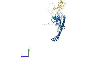 AlphaFold protein structure predicition of Human Recombinant TRIM45 Protein, UniprotID Q9H8W5