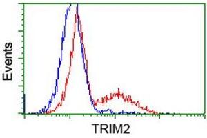 Flow Cytometry (FACS) image for anti-Tripartite Motif Containing 2 (TRIM2) (AA 1-100), (AA 1500-1600) antibody (ABIN1490539)