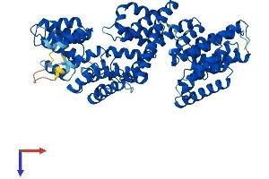 AlphaFold protein structure predicition of Human Recombinant IFT70B Protein, UniprotID Q8N4P2